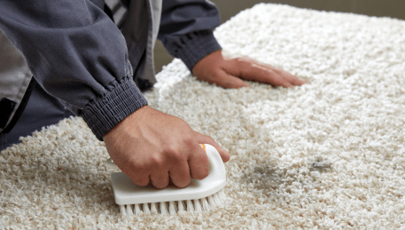 Professional Rug Cleaning Hastings