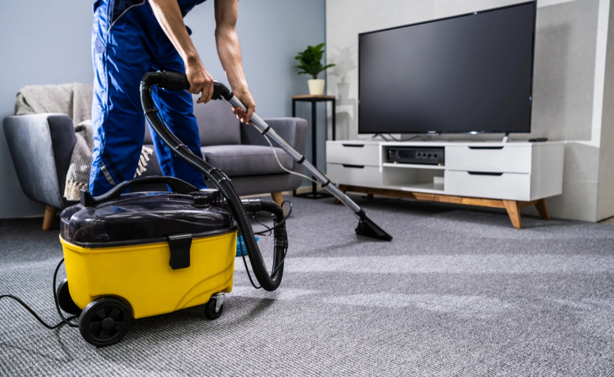 Extract Rug Cleaning Hastings Contact Office